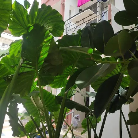 Appartement Katerina
